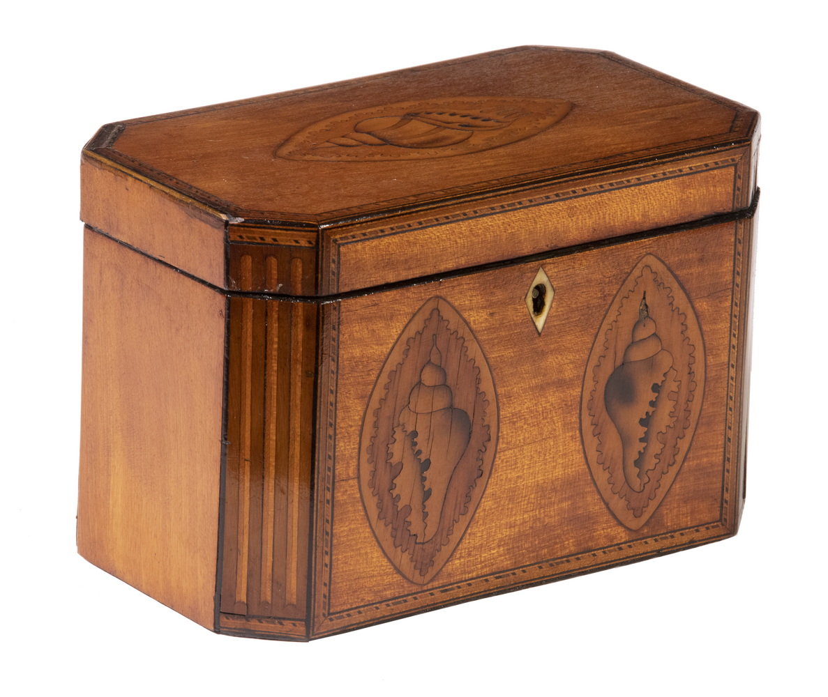 CONCH SHELL INLAID TEA CADDY 19th