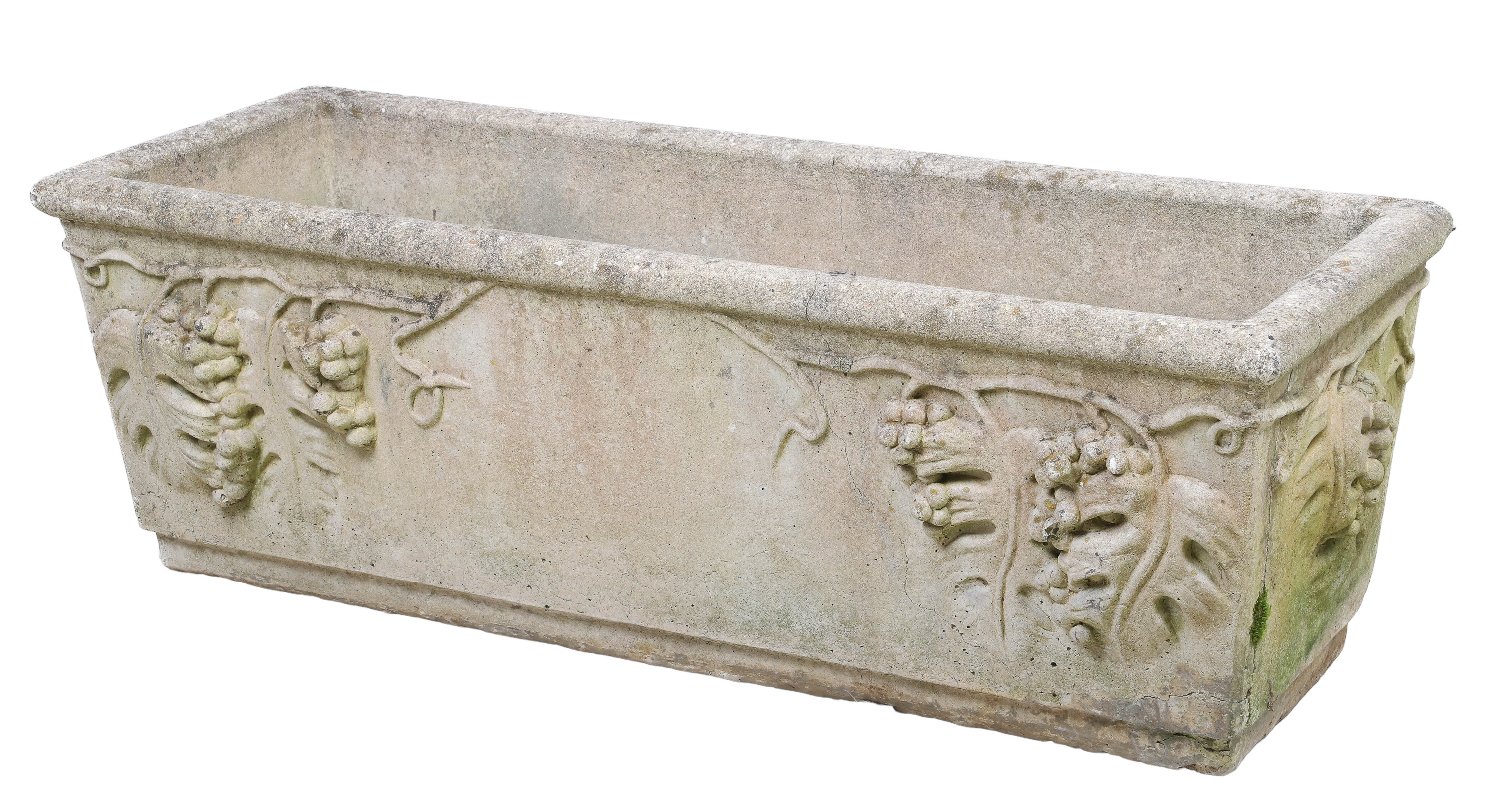 Concrete planter with vine