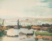 CONGO RIVER RAPIDS AQUATINT20t