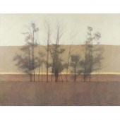 CONNIE BORUP, AMERICAN B. 1945