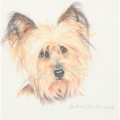 CONSTANCE EDWARDS SCOPELITIS,