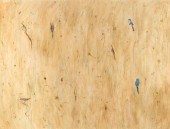 CONSTANCE POEHLMANN (AMERICAN,