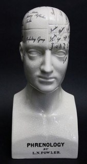 CONTEMPORARY CERAMIC PHRENOLOG