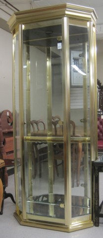 CONTEMPORARY CURIO DISPLAY