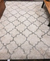 CONTEMPORARY SHAG AREA RUGCont