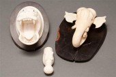 Continental carved ivory hippo