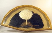 Continental ostrich feather fa