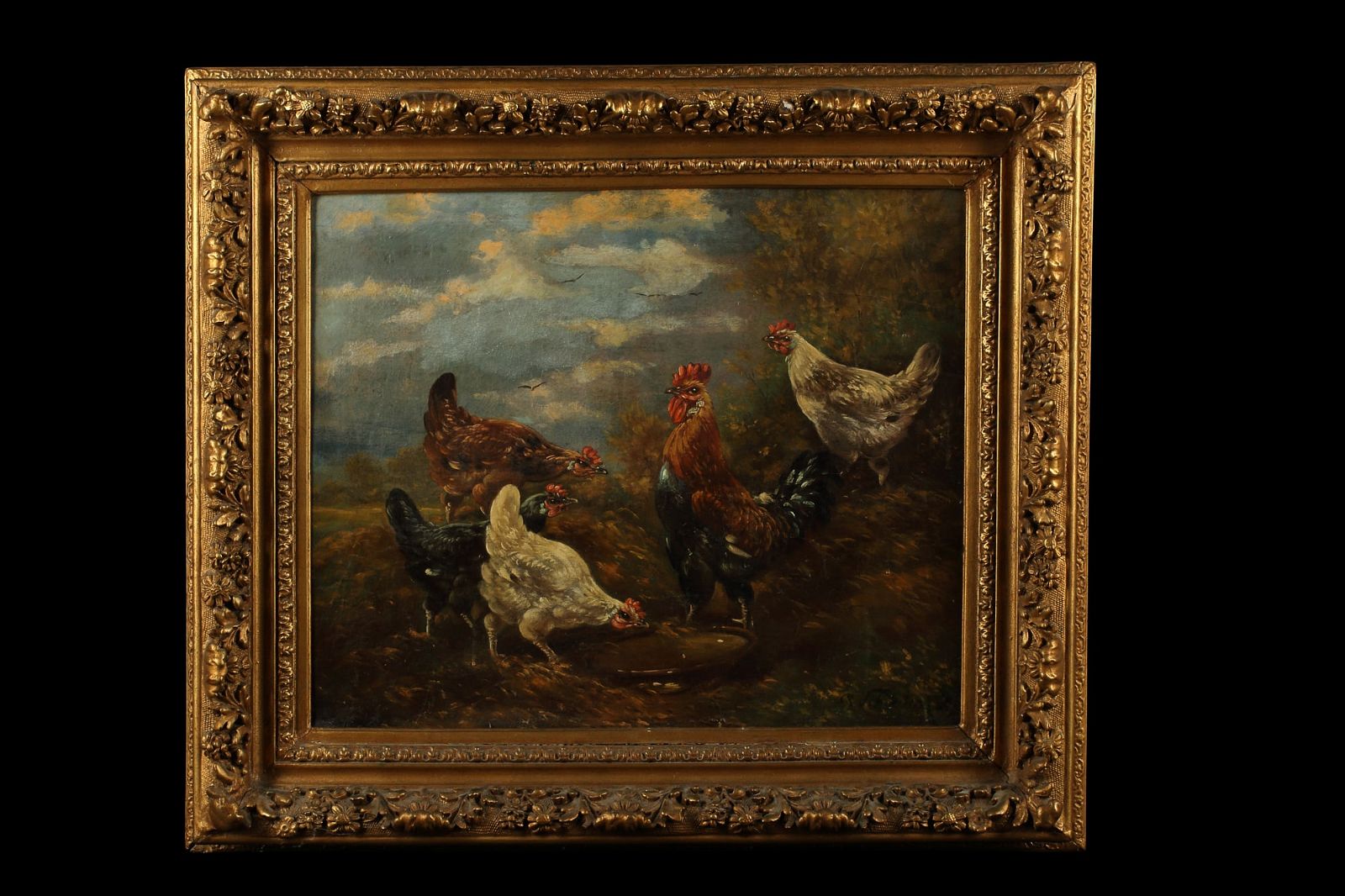 CONTINENTAL SCHOOL, CHICKENS