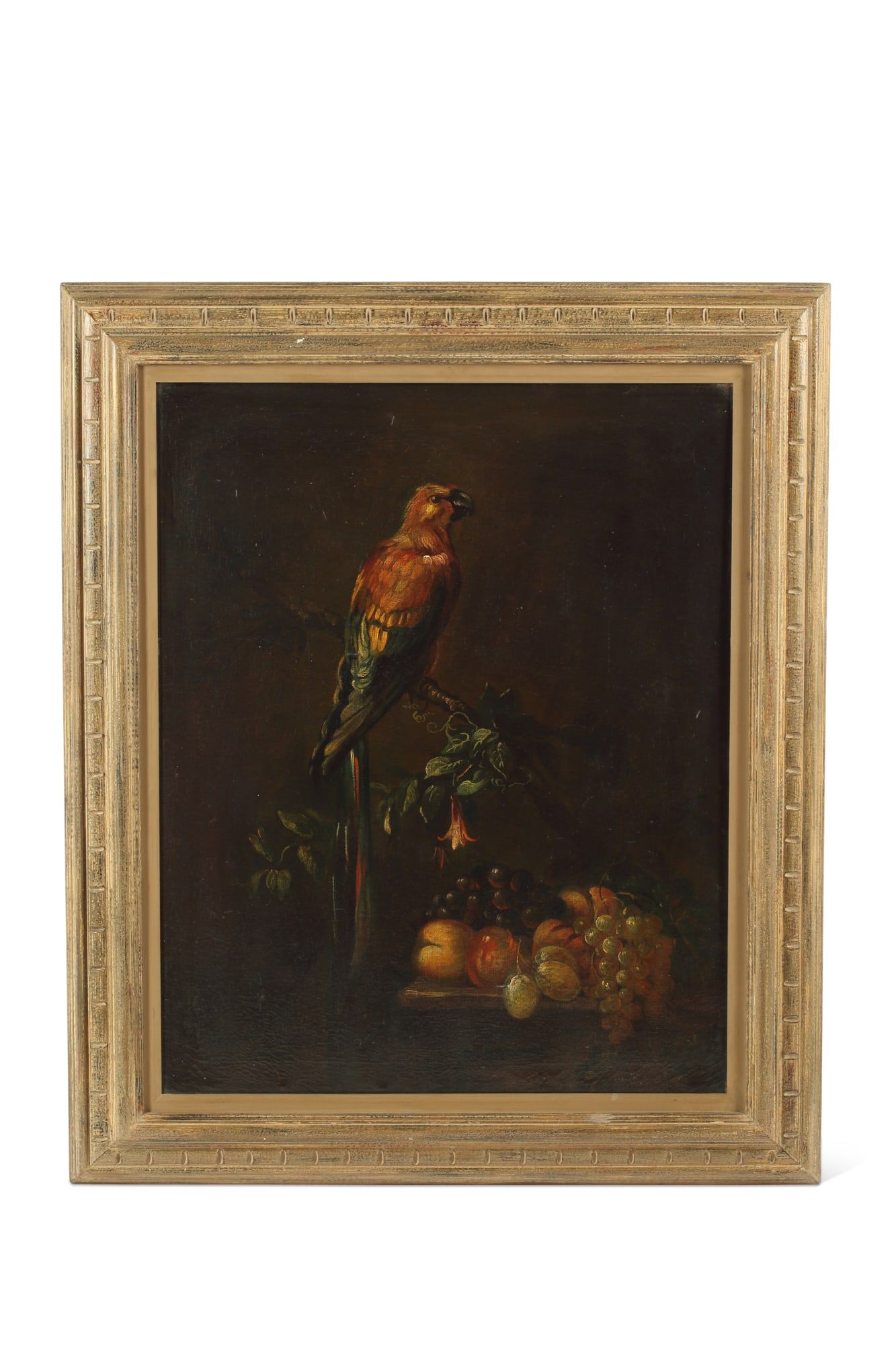 CONTINENTAL SCHOOL, PARROT