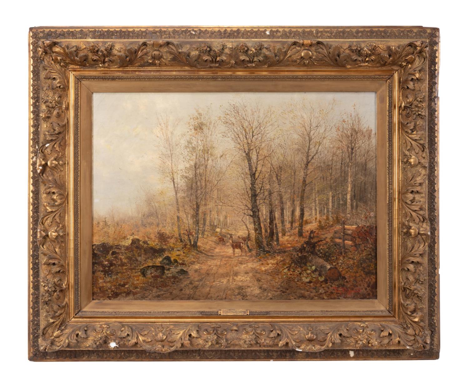 CONTINENTAL SCHOOL WINTER FOREST