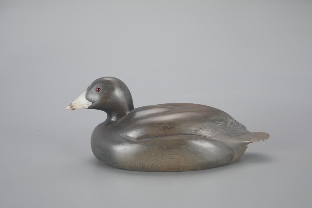 COOTEd Snyder (1928-2011) Rio