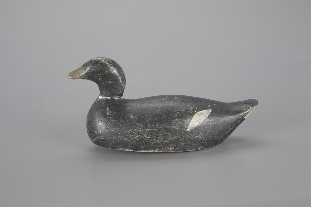 COOTEvans Duck Decoy Co.