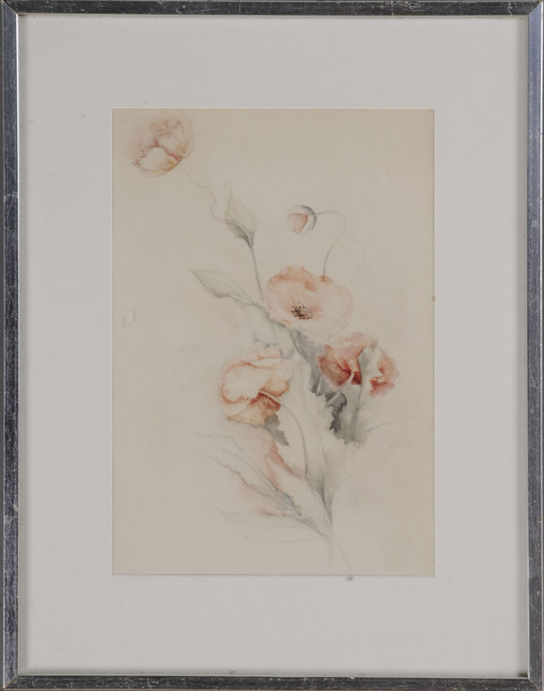 CORA HELENA SARLE: ''POPPIES''