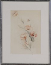 CORA HELENA SARLE: ''POPPIES''