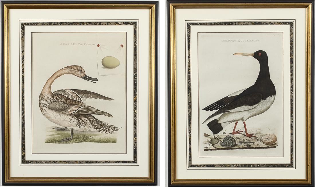 CORNELIUS NOZEMAN, 2 BIRD COPPER