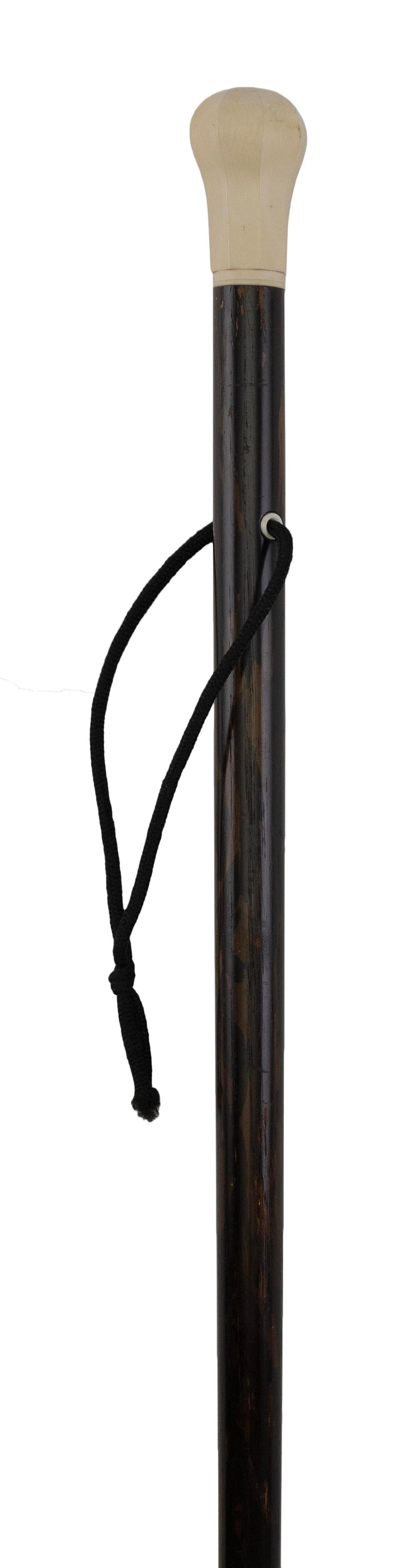 COROMANDEL CANE 19TH CENTURY LENGTH