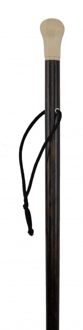 COROMANDEL CANE 19TH CENTURY L