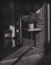 COSMO PRETE (1930-1996): PLANT