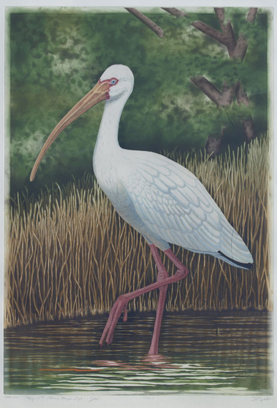COSTIN John (American): ''White