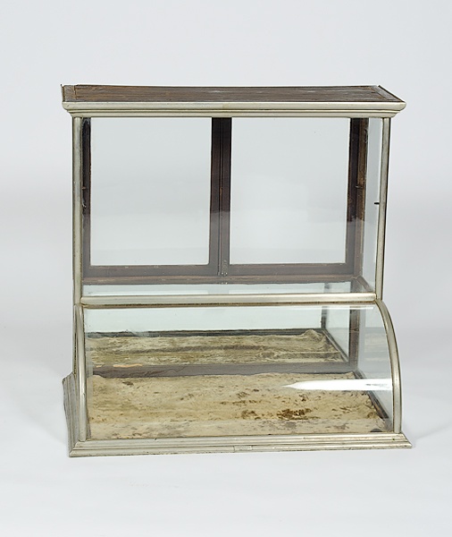 Counter Top Display Case American a