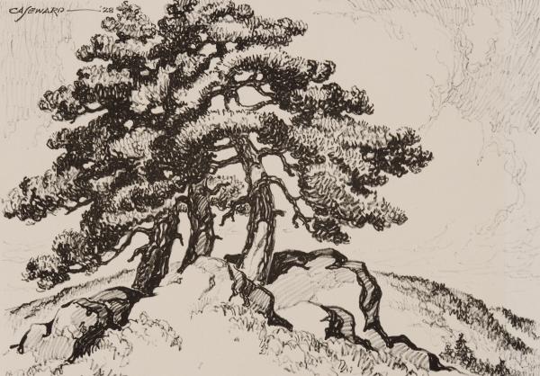 COY AVON SEWARD (1884-1939)