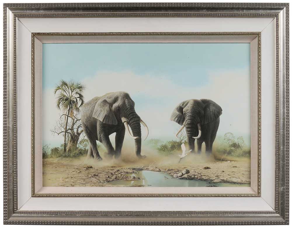 Craig Bone (Florida/Rhodesia,