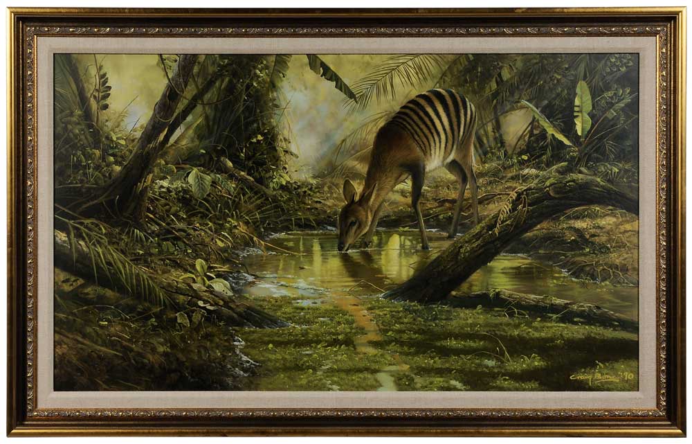 Craig Bone (Florida/Rhodesia,