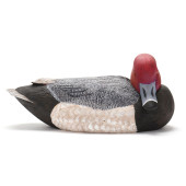 CRAIG FULCHER (NC), PREENING R