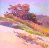CRAIGHEAD, Steve, (American, 2
