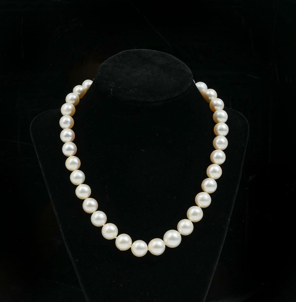 CREAMY/WHITE SOUTH SEA CULTURED