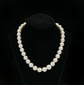 CREAMY/WHITE SOUTH SEA CULTURE