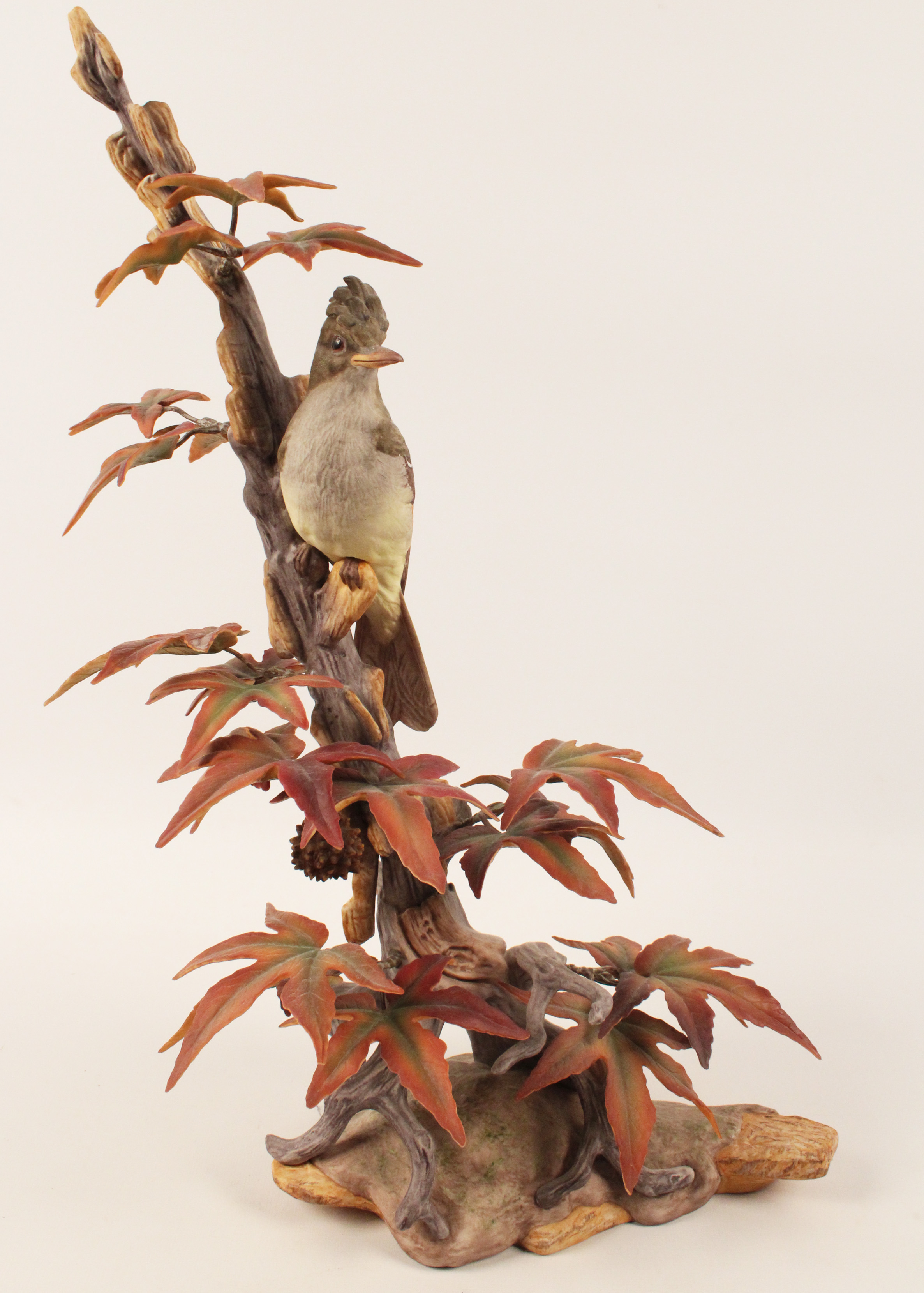 CRESTED FLYCATCHER ON SWEET GUM