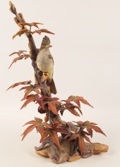 CRESTED FLYCATCHER ON SWEET GU