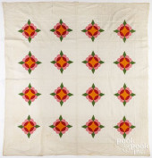CROWN OF THORNS VARIANT PATCHW