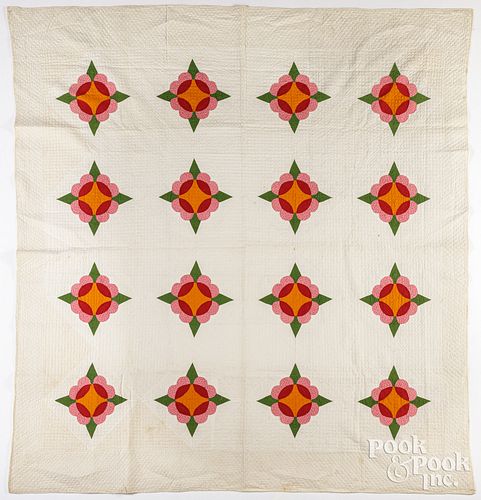 CROWN OF THORNS VARIANT PATCHWORK
