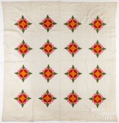 CROWN OF THORNS VARIANT PATCHW
