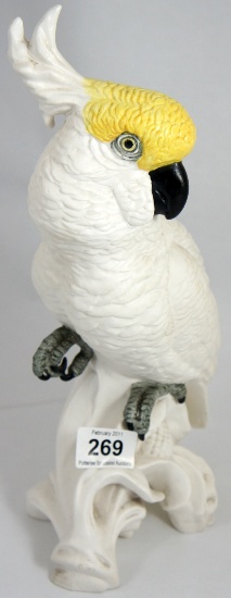 Crown Staffs Cockatoo by J.T