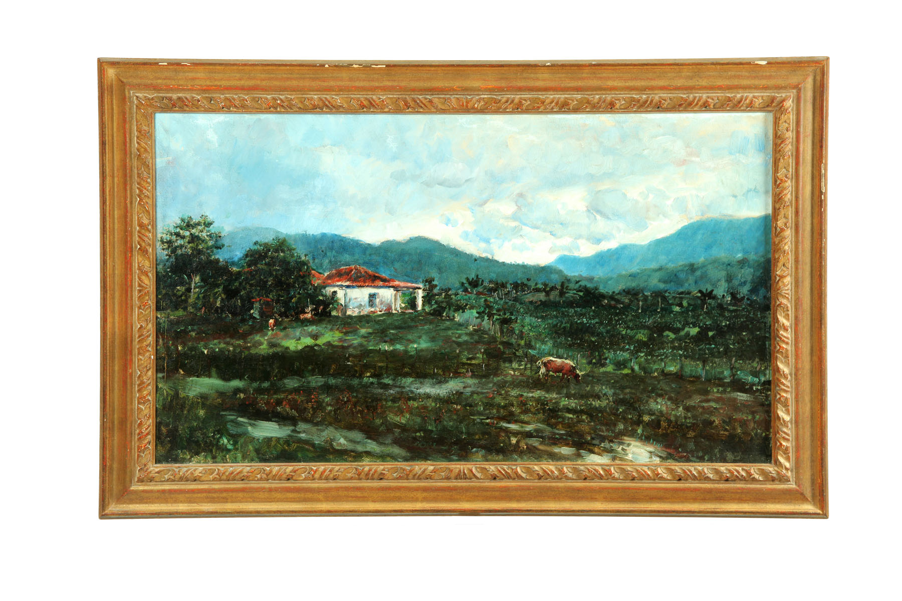CUBAN LANDSCAPE BY ARMANDO