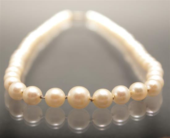 Cultured pearl necklace