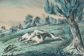 Currier & Ives print: "The Rabbit