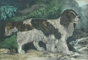 Currier print: "The Spaniel", 1848.