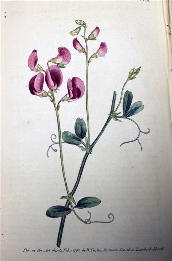 CURTIS (W) THE BOTANICAL MAGAZINE