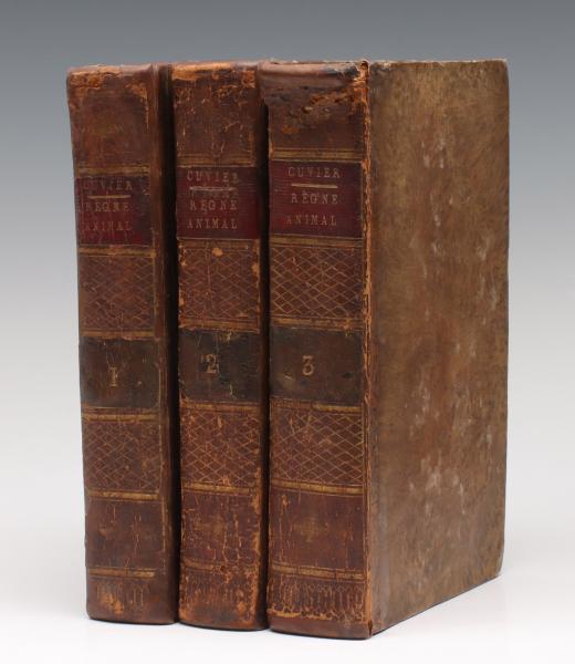 CUVIER, GEORGES, THE ANIMAL
