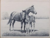 C.W. ANDERSON "PROTECTED" LITH