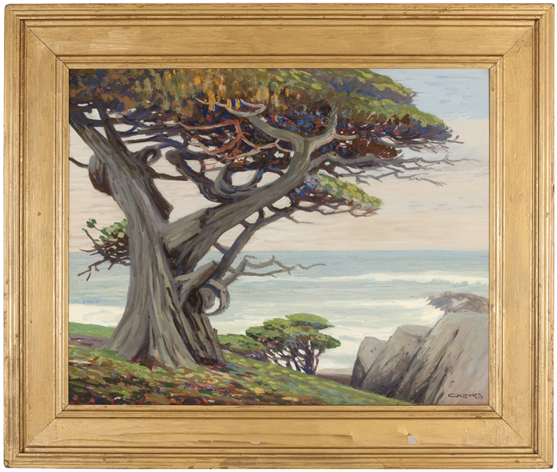 Cypress Tree Along the Carmel Coast