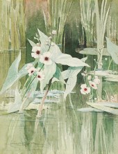 CYRIL BOLER (1895 - 1978): PON