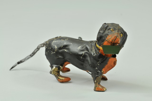 DACHSUND CARRYING BOX IN MOUTH