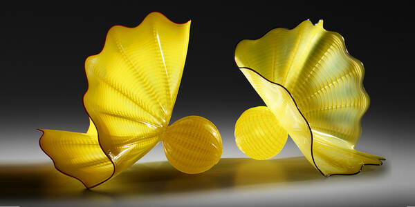 Dale Chihuly. Buttercup Yellow