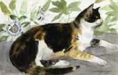 DAME ELIZABETH VIOLET BLACKADD