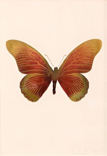 DAMIEN HIRST (B. 1965)Damien